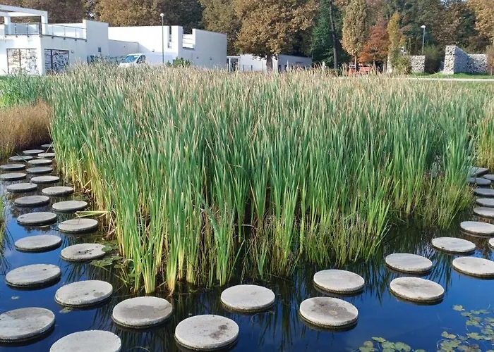 Harmony 佐洛卡罗斯